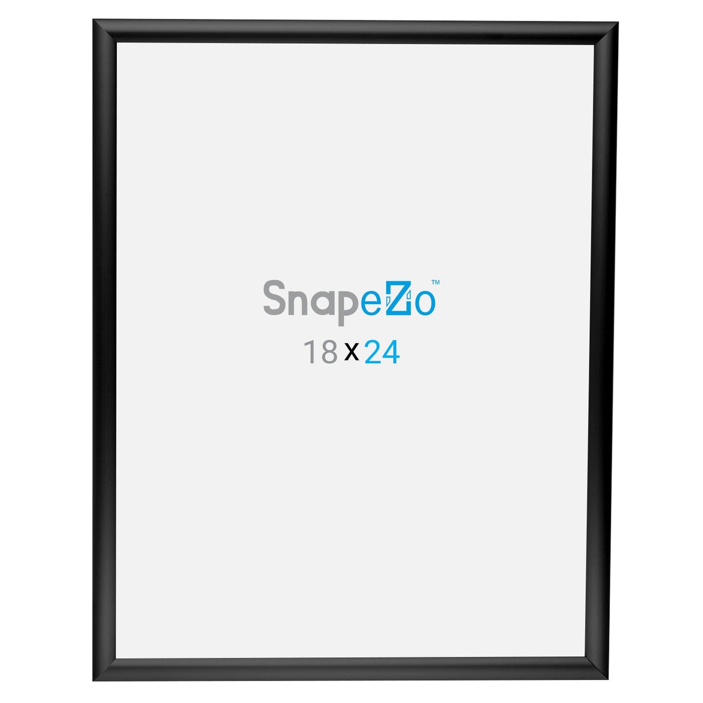 10 Case Pack of Black 18x24 Poster Frame - 1" Profile