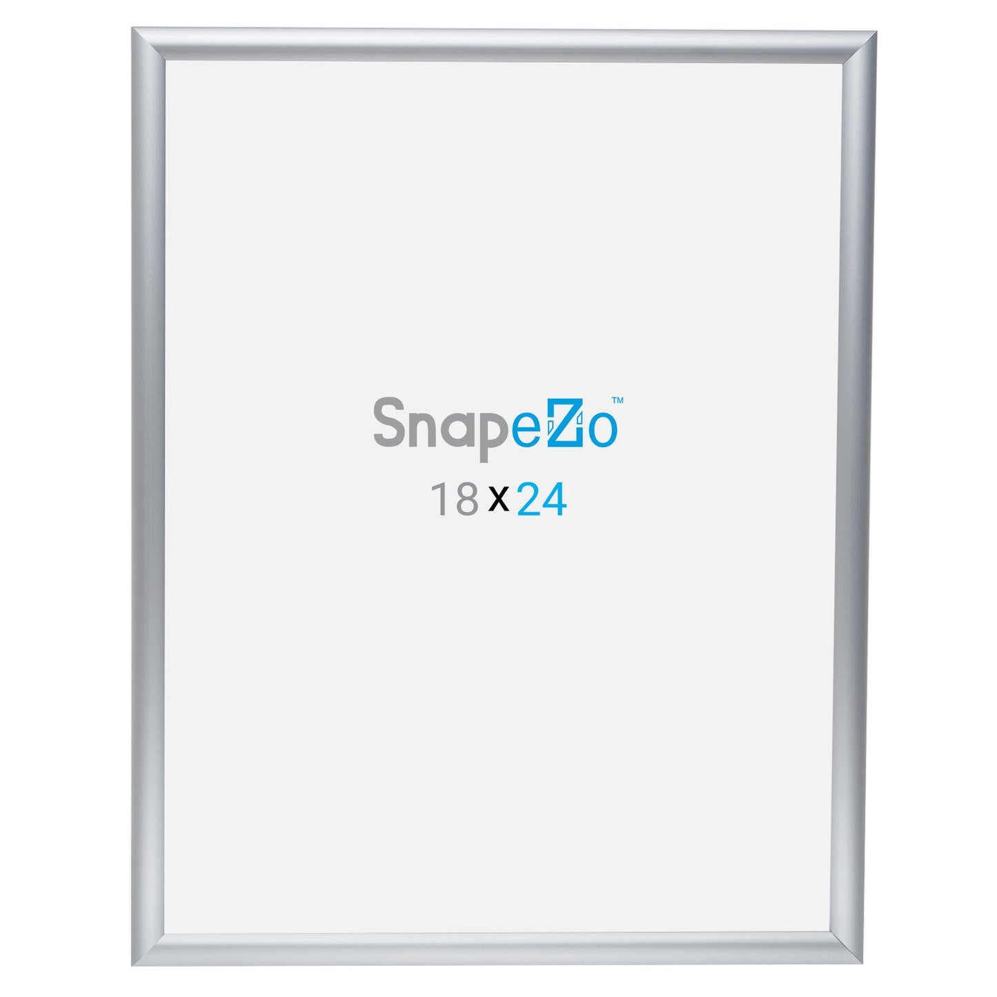 10 Case Pack of Silver 18x24 Poster Frame - 1" Profile