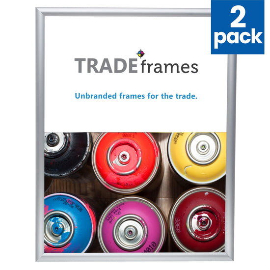 Twin-Pack Silver 22x28 Poster Frame - 1" Profile