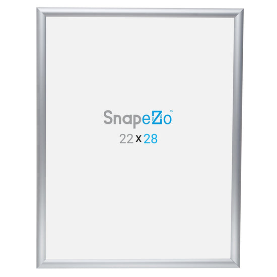 Twin-Pack Silver 22x28 Poster Frame - 1" Profile