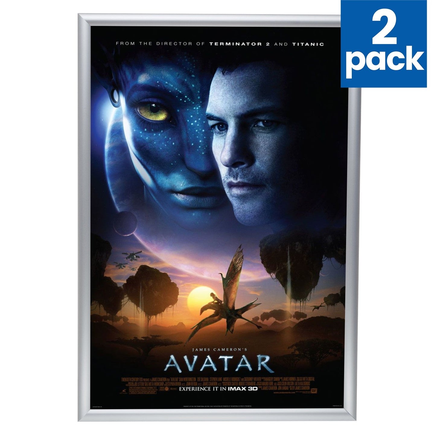 Twin-Pack Silver 24x36 Movie Poster Frame - 1" Profile