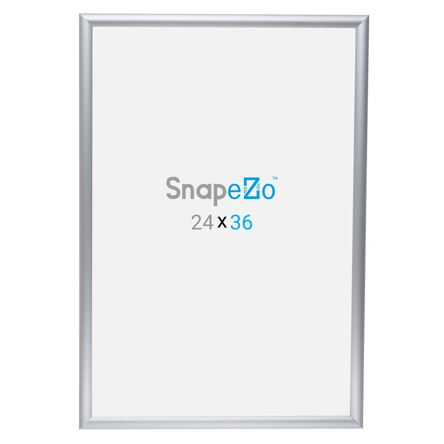 Twin-Pack Silver 24x36 Movie Poster Frame - 1" Profile