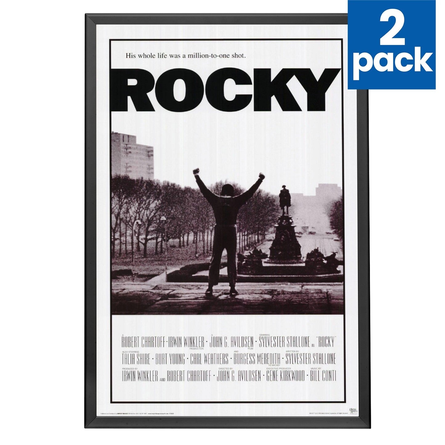 Twin-Pack Black 27x41 Movie Poster Frame - 1.25" Profile