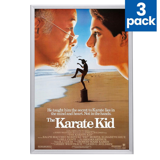 3 Case Pack of Silver 27x41 Movie Poster Frame - 1.25" Profile