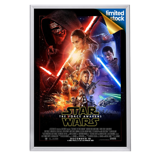 27x40 Silver Snap Frame