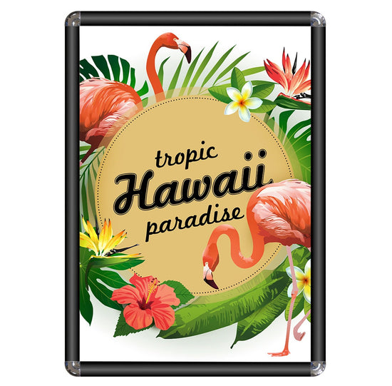 21.59 x 27.94 cm Black Lite Round-Cornered Snap Frame - 25MM Profile