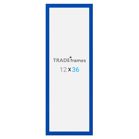 30.48 x 91.44 cm Blue Snap Frame - 30MM Profile