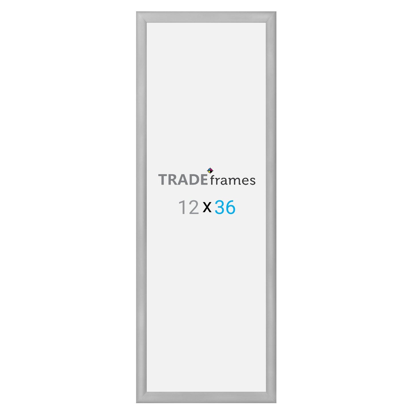 30.48 x 91.44 cm Silver Snap Frame - 30MM Profile