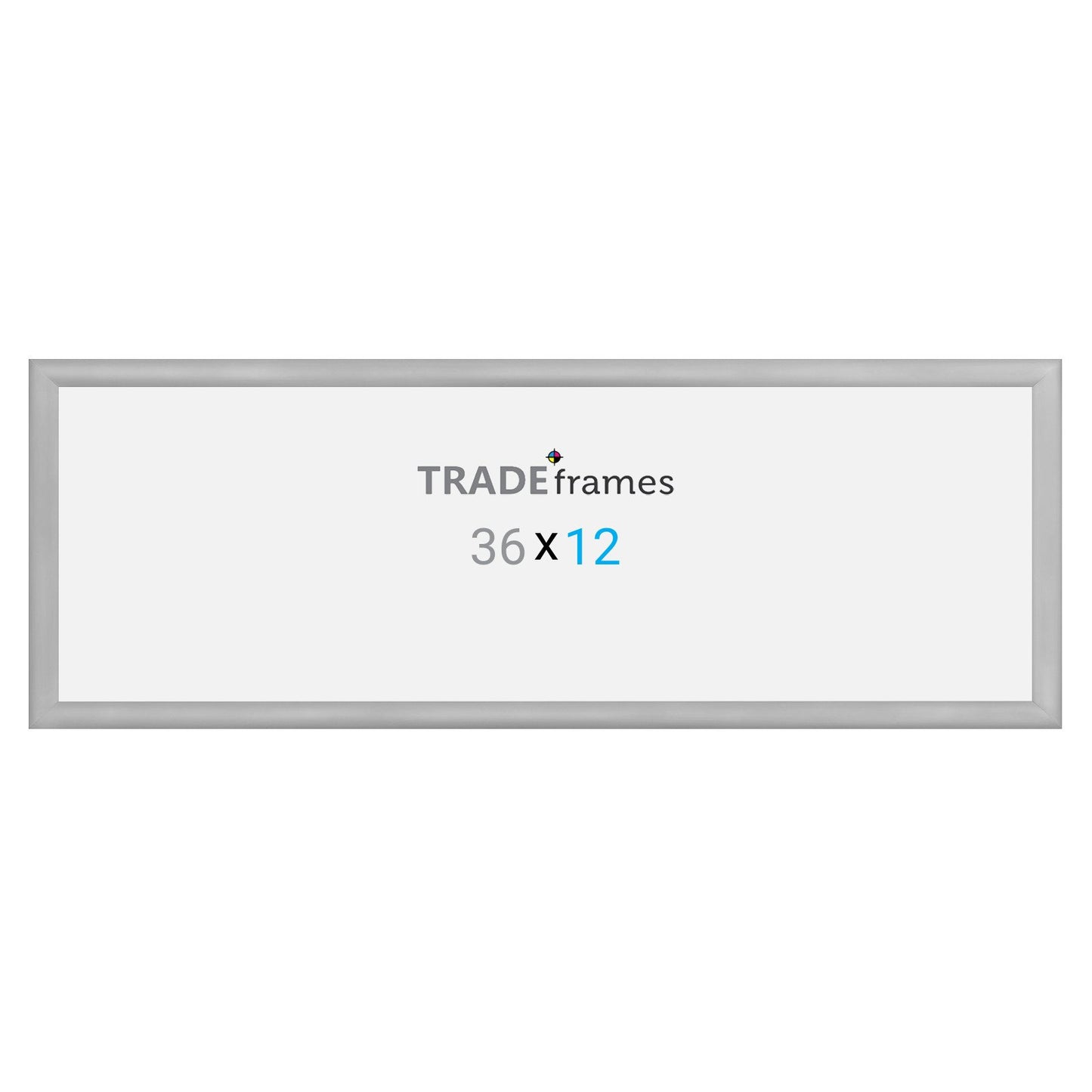 30.48 x 91.44 cm Silver Snap Frame - 30MM Profile