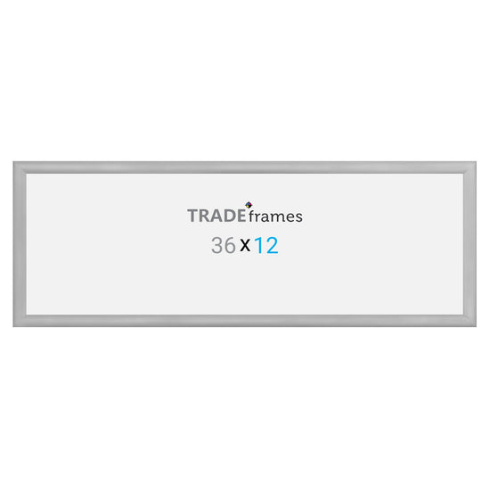 30.48 x 91.44 cm Silver Snap Frame - 30MM Profile