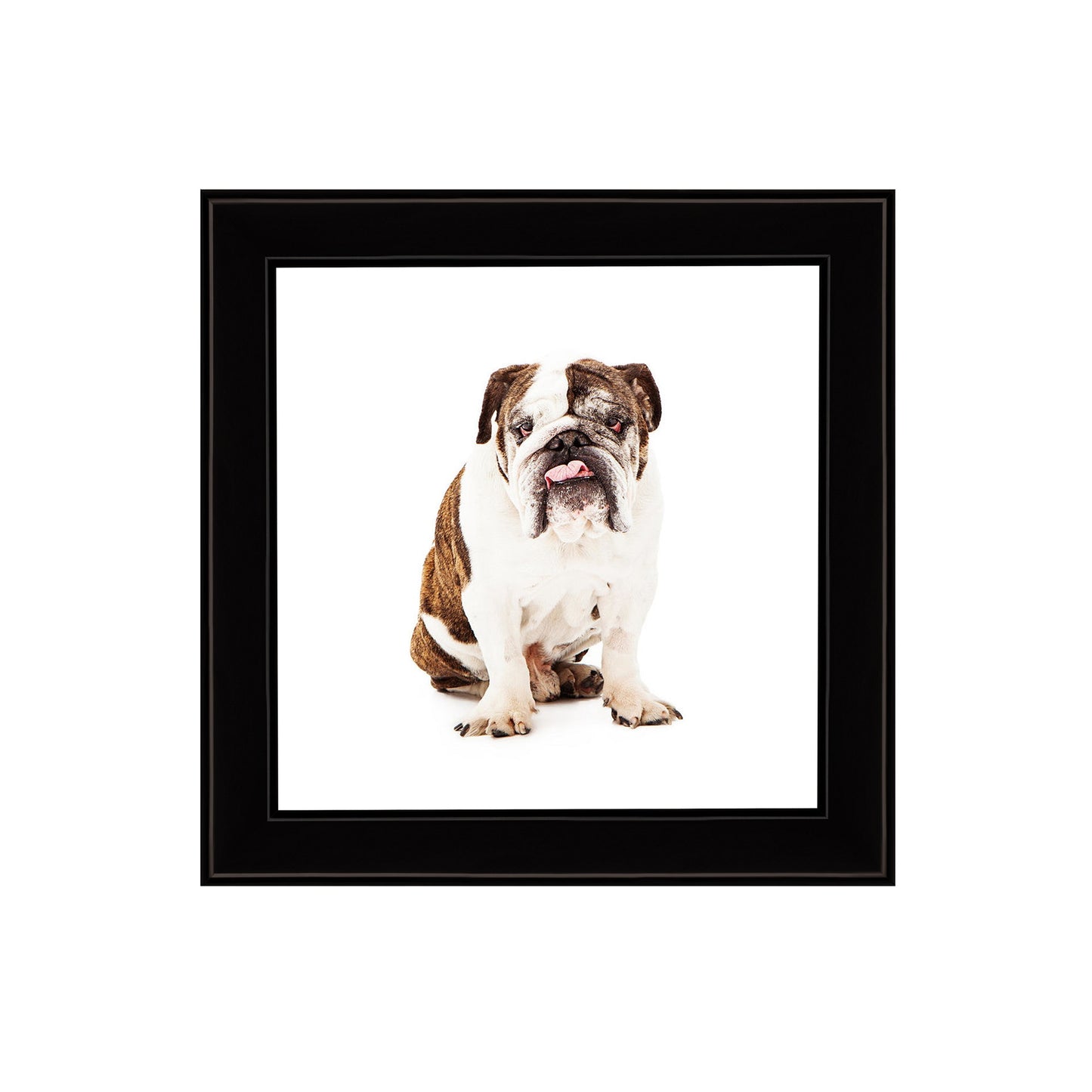 Gift Pack of 4 SnapeZo® Insta Frames